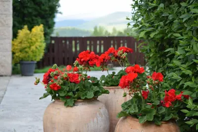 Jardín al aire libre en Casa Rural Galain