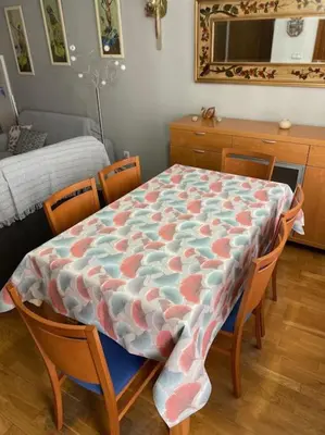 Plano de Acogedor y céntrico apartamento en Jaca - Wifi