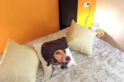 Cama o camas de una habitación en La casica de Sabi