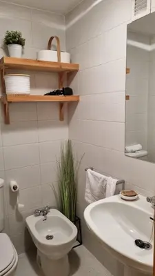 Un baño de ssolivellasscanfranc