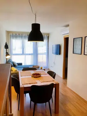 Una televisión o centro de entretenimiento en Apartament dúplex amb vistes al Pirineu català