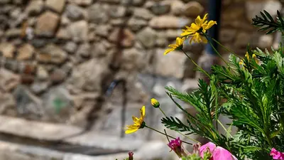 Jardín al aire libre en Saplan Real Estate MALADETA
