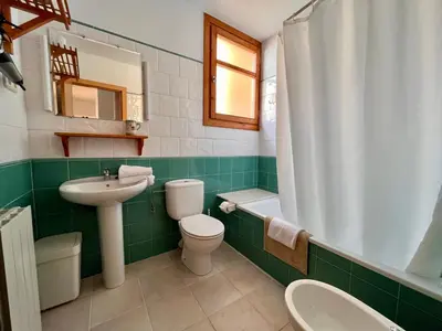Un baño de BPIRINEOS-Llosás