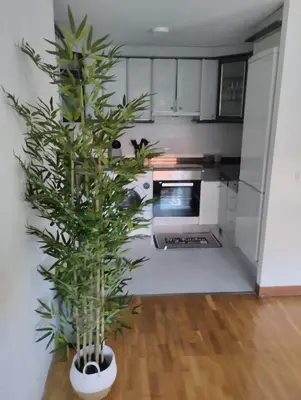 Una cocina o zona de cocina en bonito piso zonas 1'5 del centro