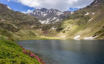Paisaje cerca de este apartamento