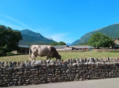 Paisaje cerca de este apartamento