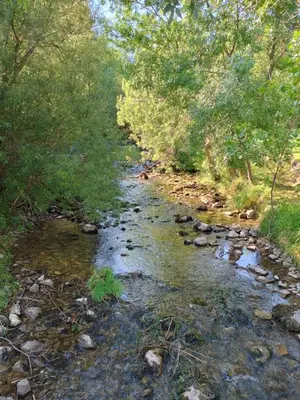 Paisaje cerca de este apartamento