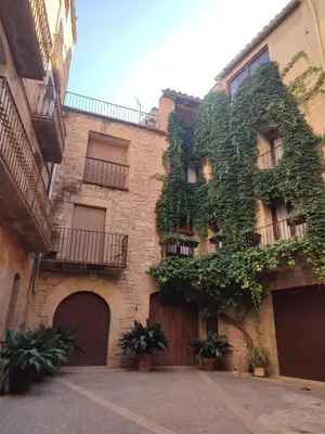Edificio en el que se encuentra la casa o chalet