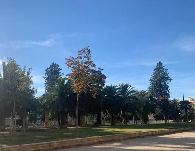 Jardín al aire libre en Espectacular loft lleno de luz y espacio!