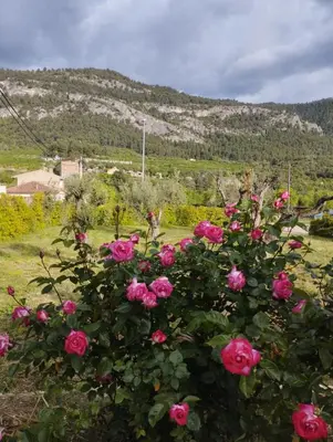 Paisaje cerca de este hotel
