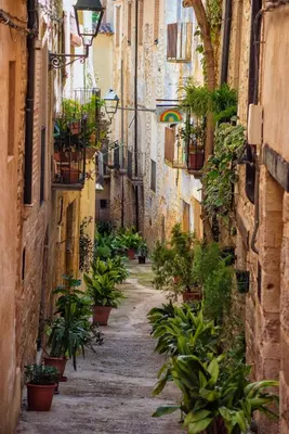 El barrio de los alrededores o un barrio cerca de este apartamento