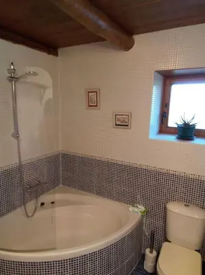 Un baño de La Borda de Allué