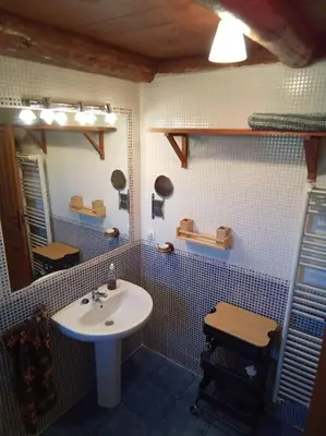 Un baño de La Borda de Allué
