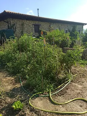 Jardín al aire libre en Casa Rural TTIPIAENEA Landetxea