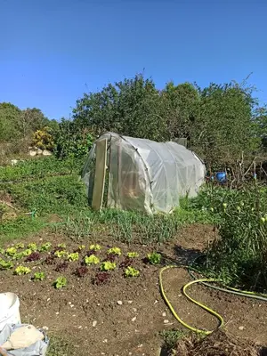 Jardín al aire libre en Casa Rural TTIPIAENEA Landetxea