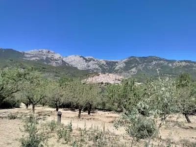 Paisaje cerca de esta casa o chalet