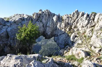 Paisaje cerca de este camping