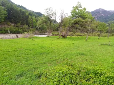Paisaje cerca de este apartamento