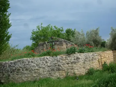 Plano de Hort de L'Aubert