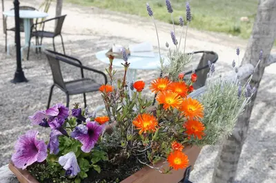 Jardín al aire libre en Hort de L'Aubert