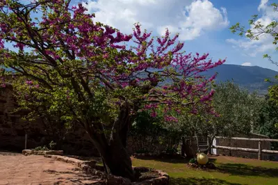 Paisaje cerca of this country house