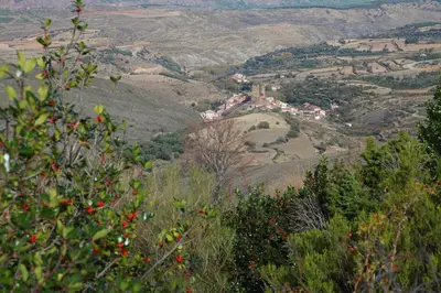 Paisaje cerca de este apartamento