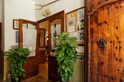 Plano de Hostal i Apartaments Populetus