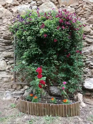 Jardín al aire libre en La Borda de Sesué