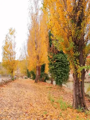 Jardín al aire libre en ATALAYA DEL RÍO