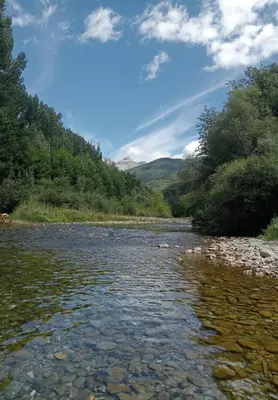 Paisaje cerca de este apartamento