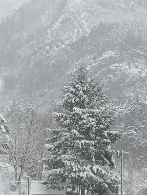 El nido de Villanua en invierno