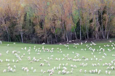 Paisaje cerca de este apartamento
