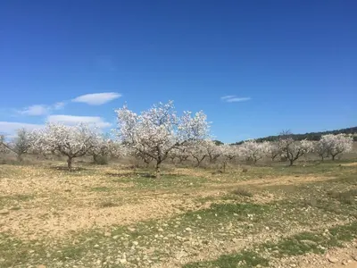 Paisaje cerca de este apartamento