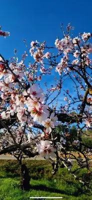 Jardín al aire libre en Com a casa