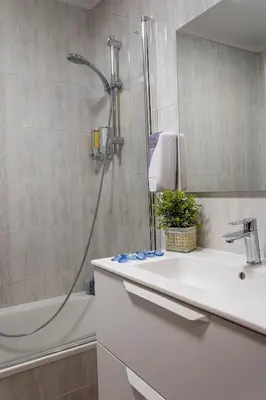 Un baño de Apartamento Baztangoa II