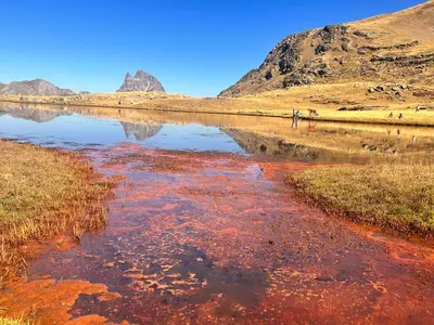 Paisaje cerca de este apartamento