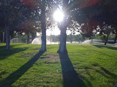 Jardín al aire libre en Bungalows Zaragoza Camping