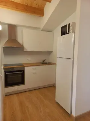 Una cocina o zona de cocina en Cal Vallverdú 2I