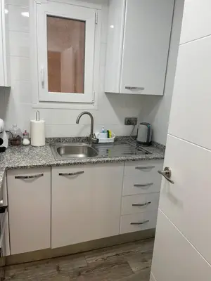 Una cocina o zona de cocina en Apartament dels Mestres