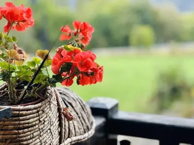 Jardín al aire libre en Ca La Mimi