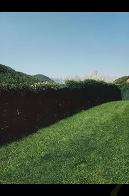 Paisaje cerca de este apartamento