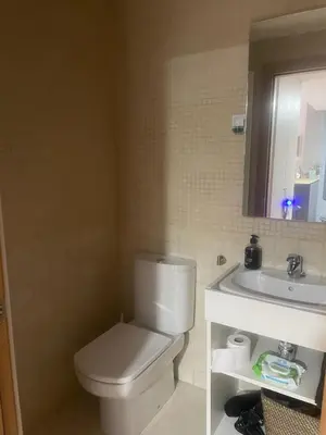 Un baño de Le Petit Palais