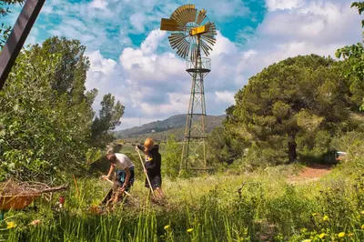 Paisaje cerca de este apartamento