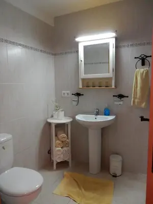 Un baño de Apartment Cal Viola