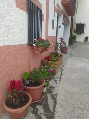 Plano de Casa Rural La Maestra