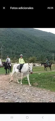 Animales en el apartamento o alrededores