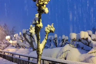 Casa Ligües - tucasaenlospirineos en invierno