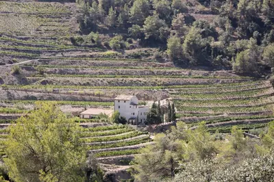 Paisaje cerca of this country house