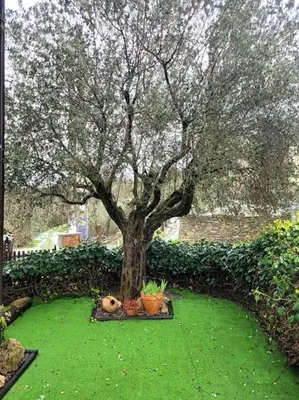 Jardín al aire libre en El Pajar de la Plaza