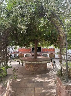 Jardín al aire libre en Casa Mandarina